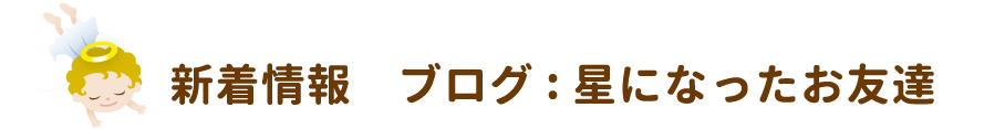 新着情報　ブログ：星になったお友達