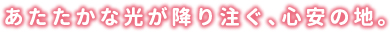 あたたかな光が降り注ぐ、心安の地。